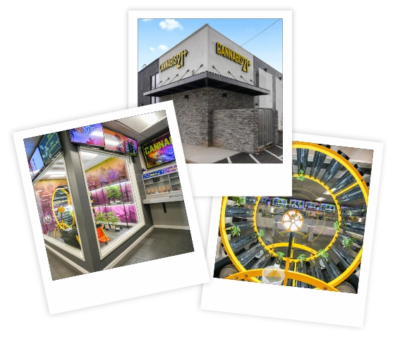 Cannabis21+ store images Collage showing exterior and interiors