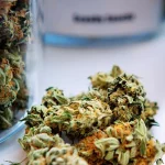 Top Cannabis Strains for Specific Health Issues