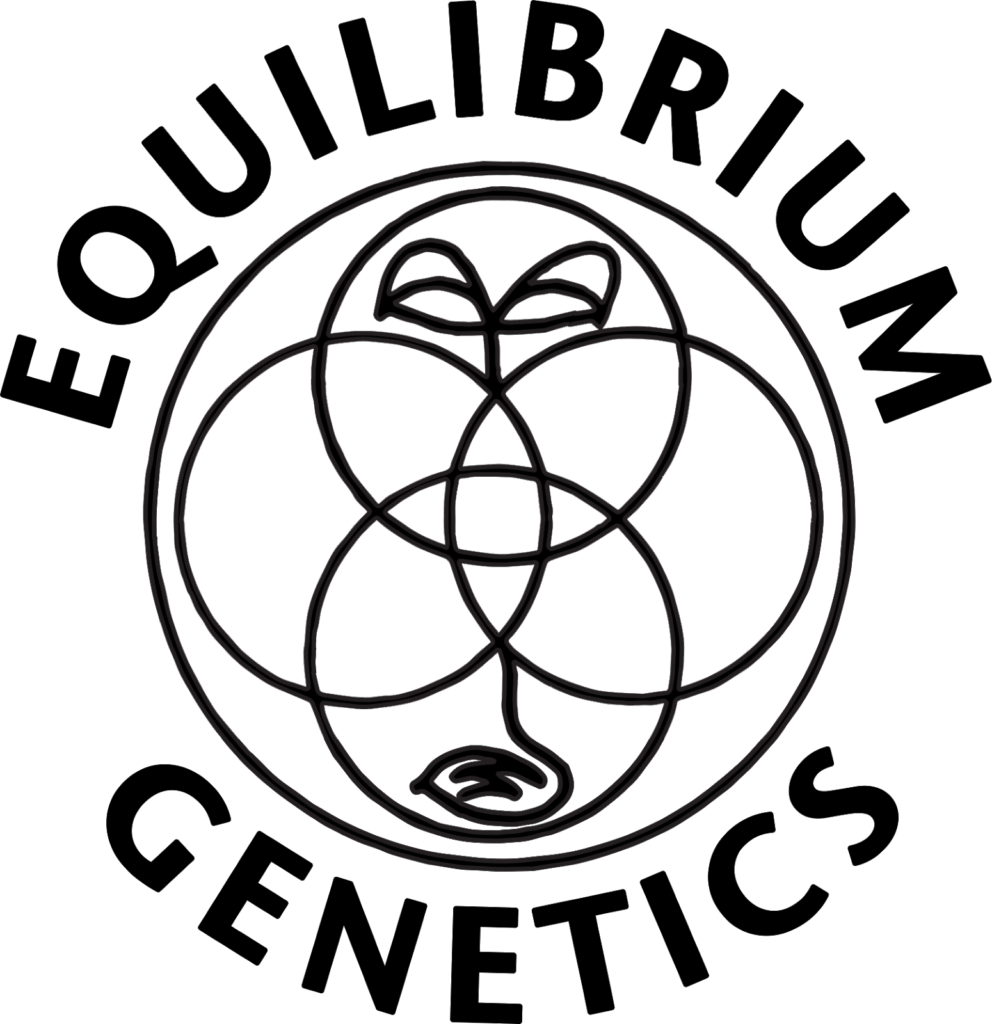 Equilibrium Genetics Logo
