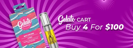Gelato Cart Offer: Buy 4 for 100$