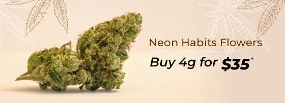 Neon Habits Flowers offer - Buy 4 grams at 35$