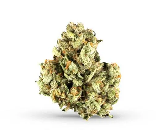 White Apple Tartz cannabis strain