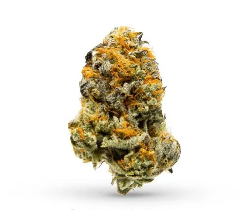 Julius Caesar cannabis strain