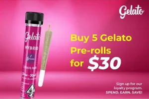 Buy 5 Gelato pre-rolls for $30