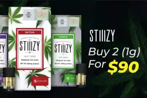 STIIIZY Buy 2 (1 gram) for $90