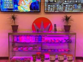 Colorful interiors of the Ukiah dispensary by Cannabis 21+